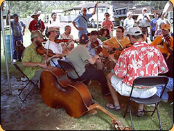 trad music tent