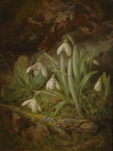 "Waldbodenstück mit Schneeglöckchen" by Josef Lauer